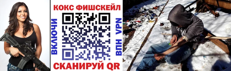 Купить закладки  Гусиноозёрск  COCAIN Эквадор 
